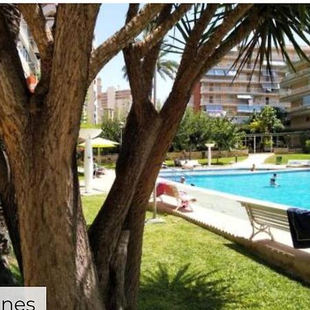 Apartamento Entero En La Playa San Juan Benacantil Аликанте Экстерьер фото