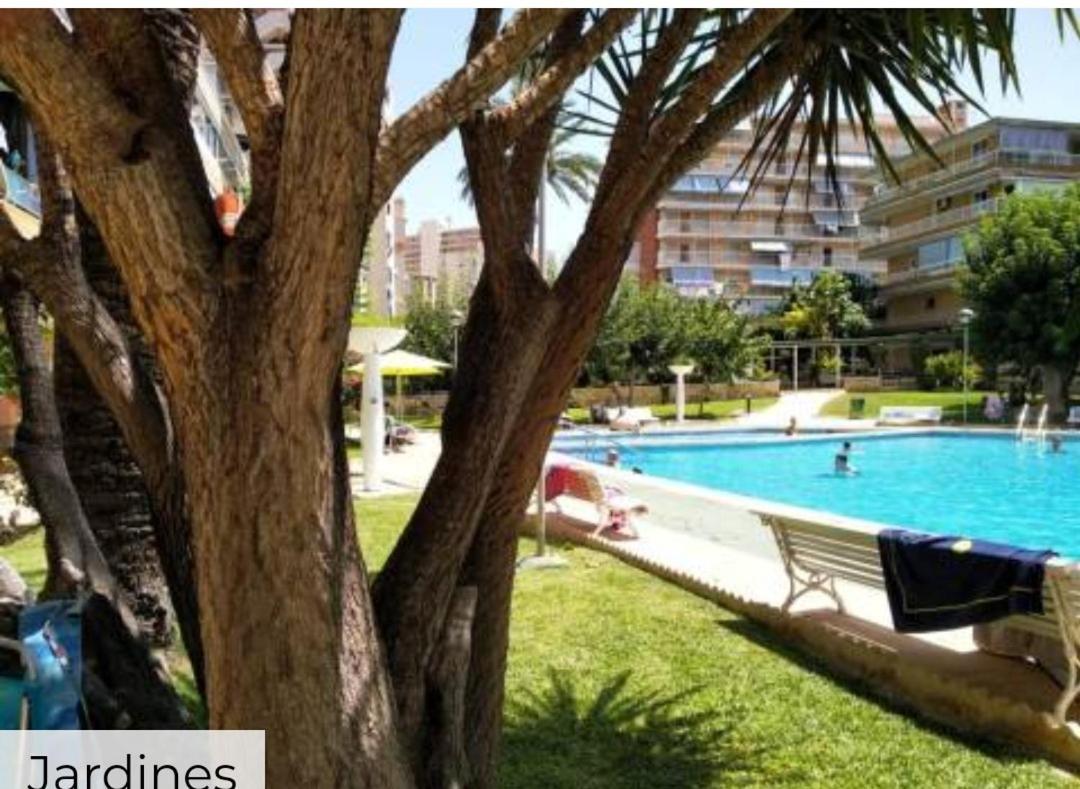 Apartamento Entero En La Playa San Juan Benacantil Аликанте Экстерьер фото